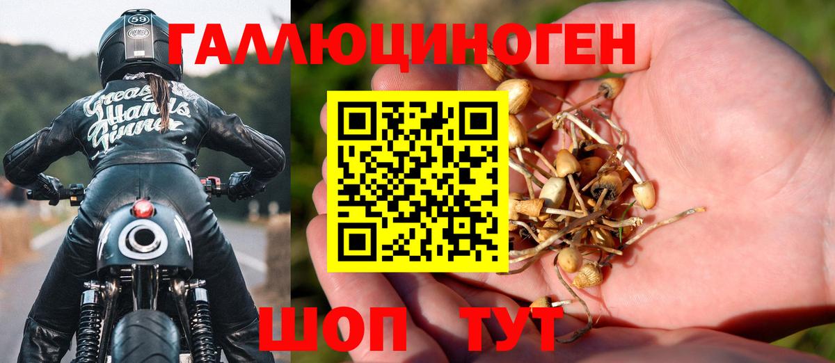 Псилоцибиновые грибы MAGIC MUSHROOMS Баксан